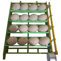 Support pour oeufs d’oie et de paon – couveuse Cimuka