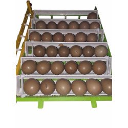 Lot de 6 barrettes stabilisation d'oeufs – couveuse Cimuka