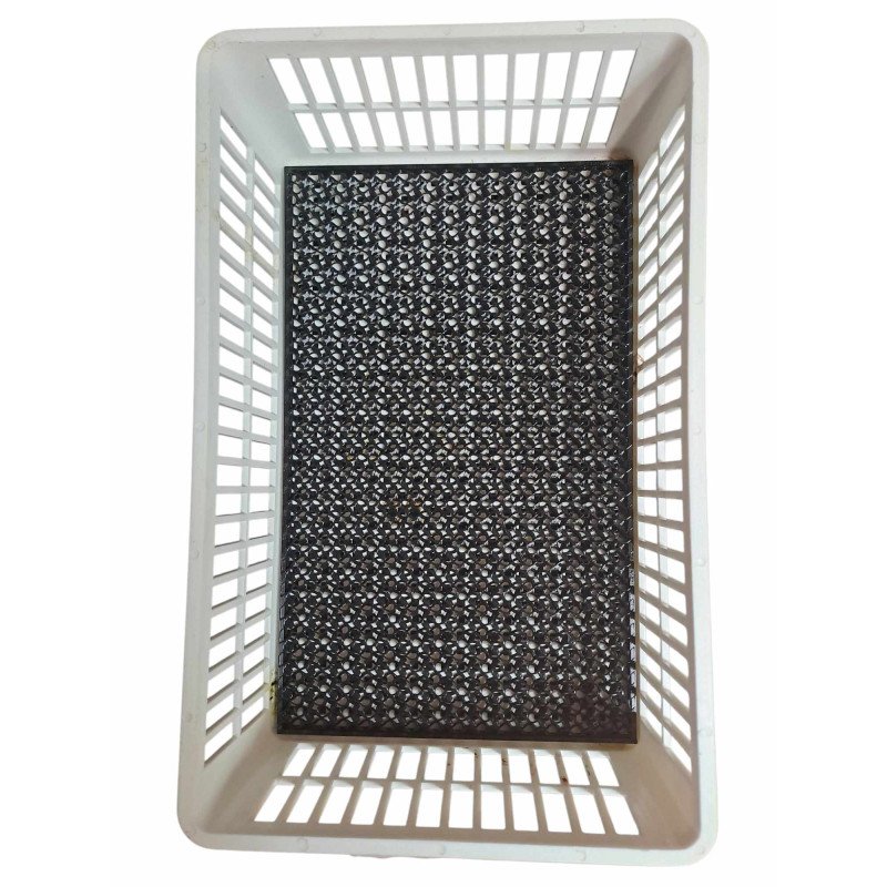 Tapis anti-pattes écartées pour panier d'éclosion (15 ou 30 oeufs)