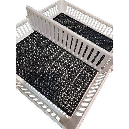 Séparations pour panier d'éclosion – accessoire pour couveuse