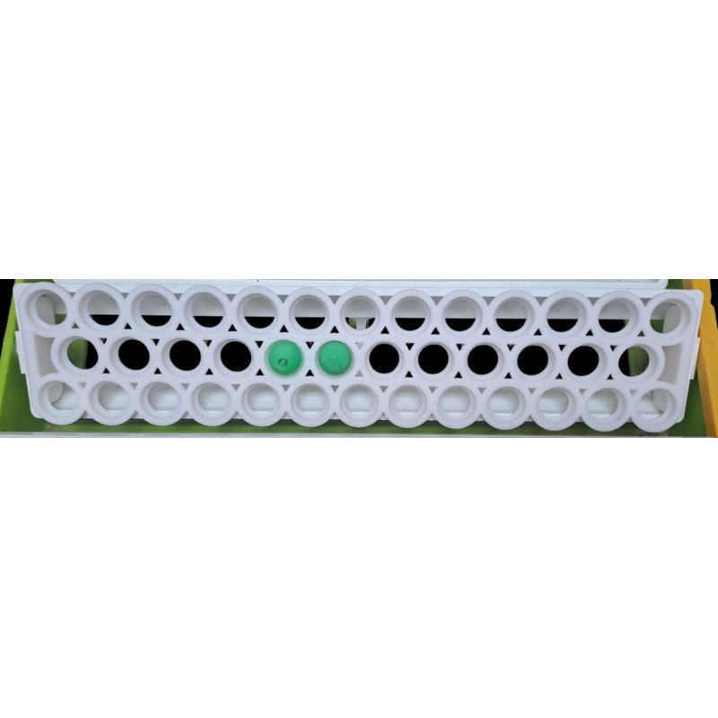 Support pour œufs de Canaris – compatible couveuse Cimuka