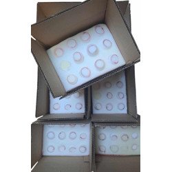 Emballage pour l'envoi de nos oeufs à couver